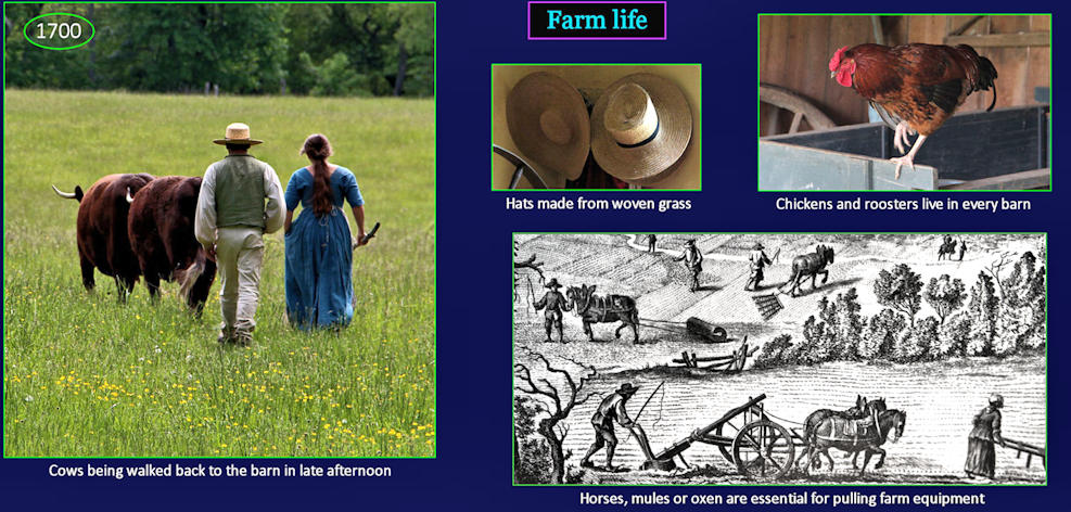 Simple life, 1700